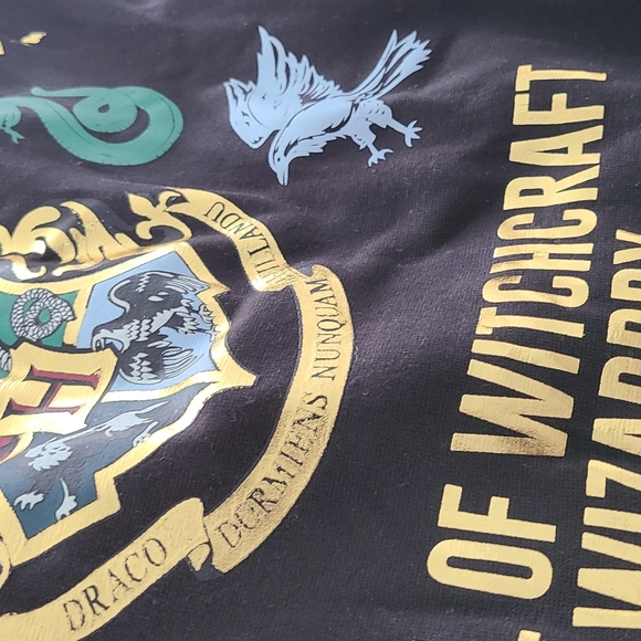 Gold Foil Harry Potter Hogwarts Hoodie - Picture 10 of 10